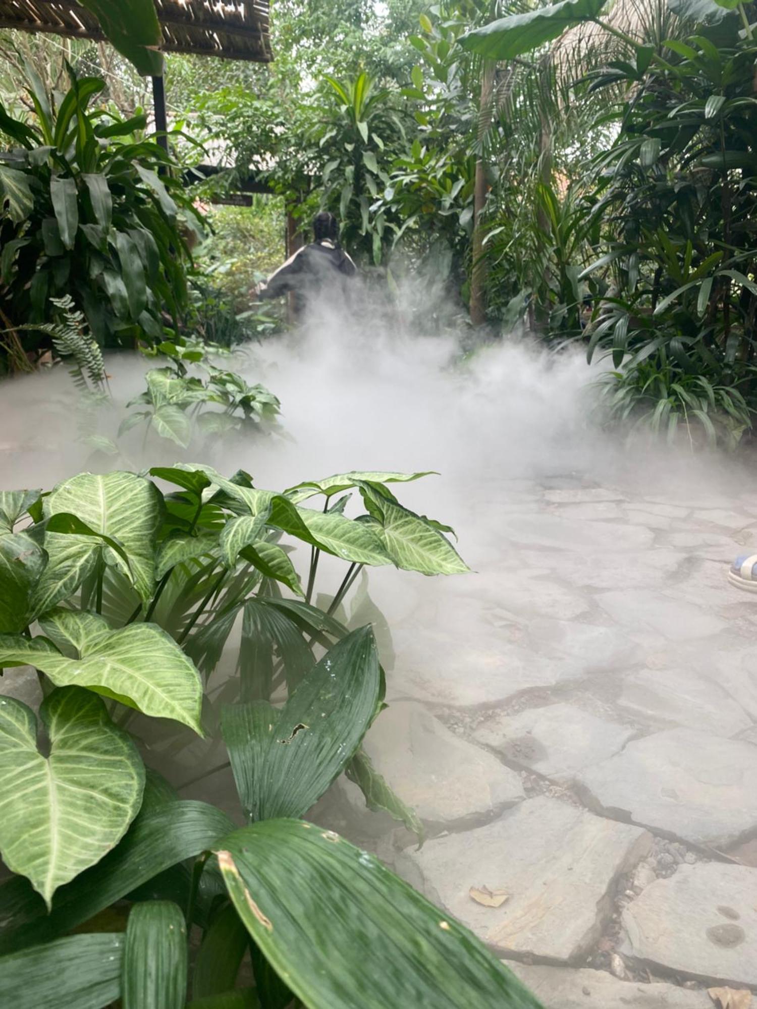 Nha Lua Homestay Ninh Binh Exterior foto