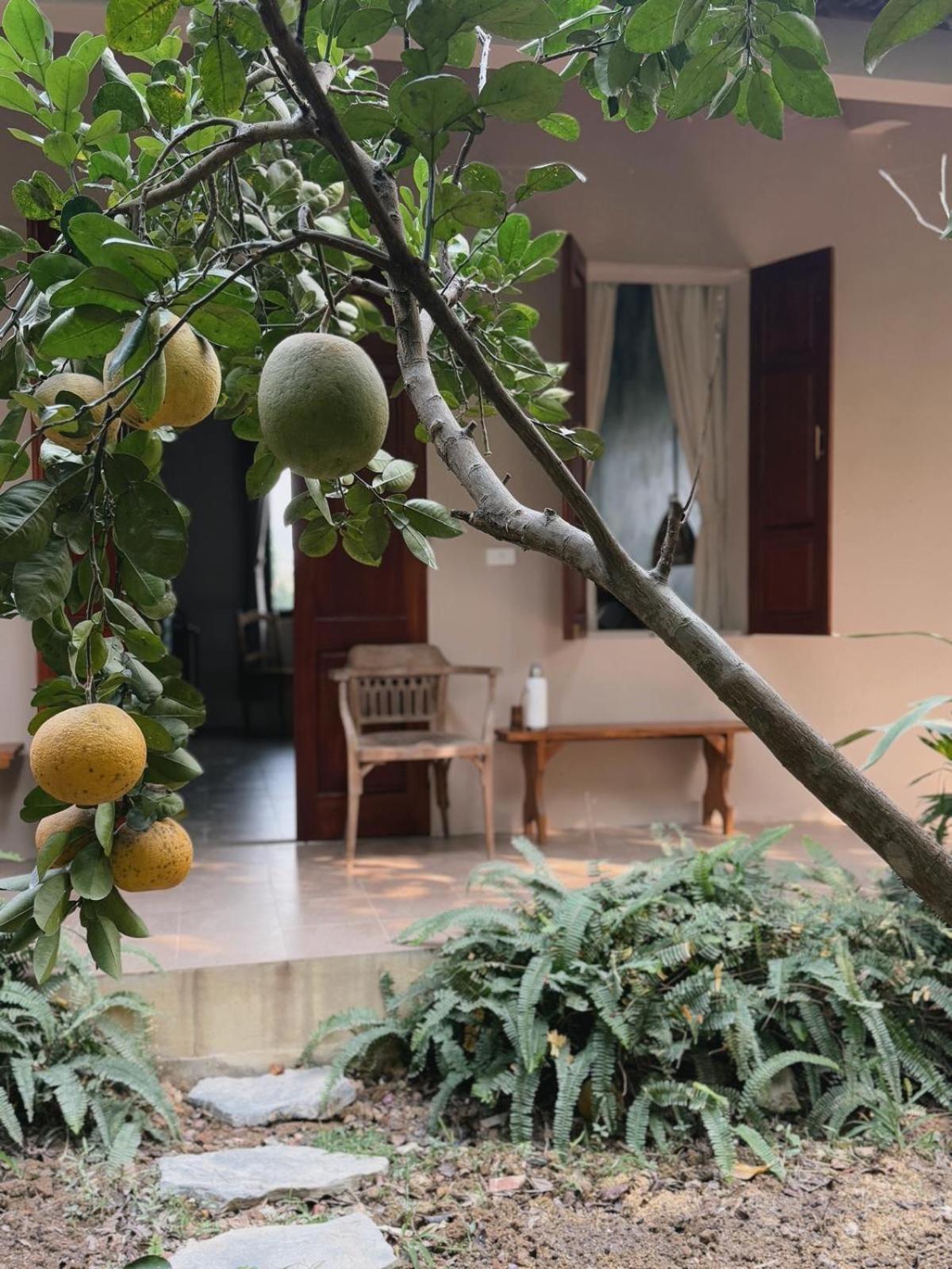 Nha Lua Homestay Ninh Binh Exterior foto